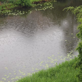 Regen